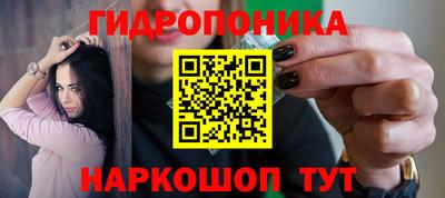 Альфа ПВП Аргун