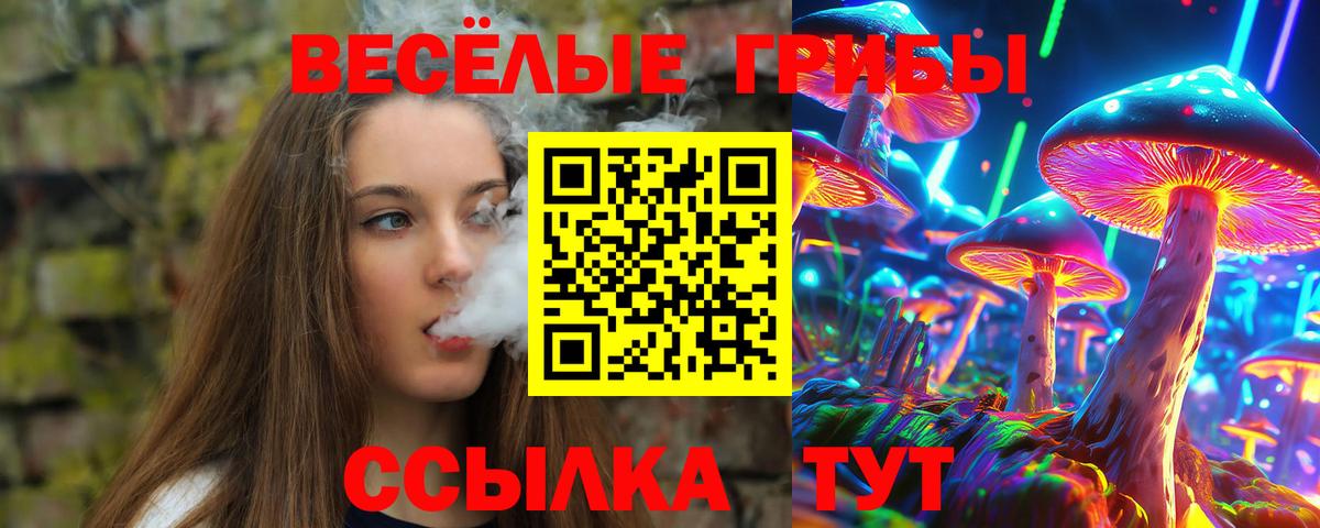 Галлюциногенные грибы Magic Shrooms Волгодонск